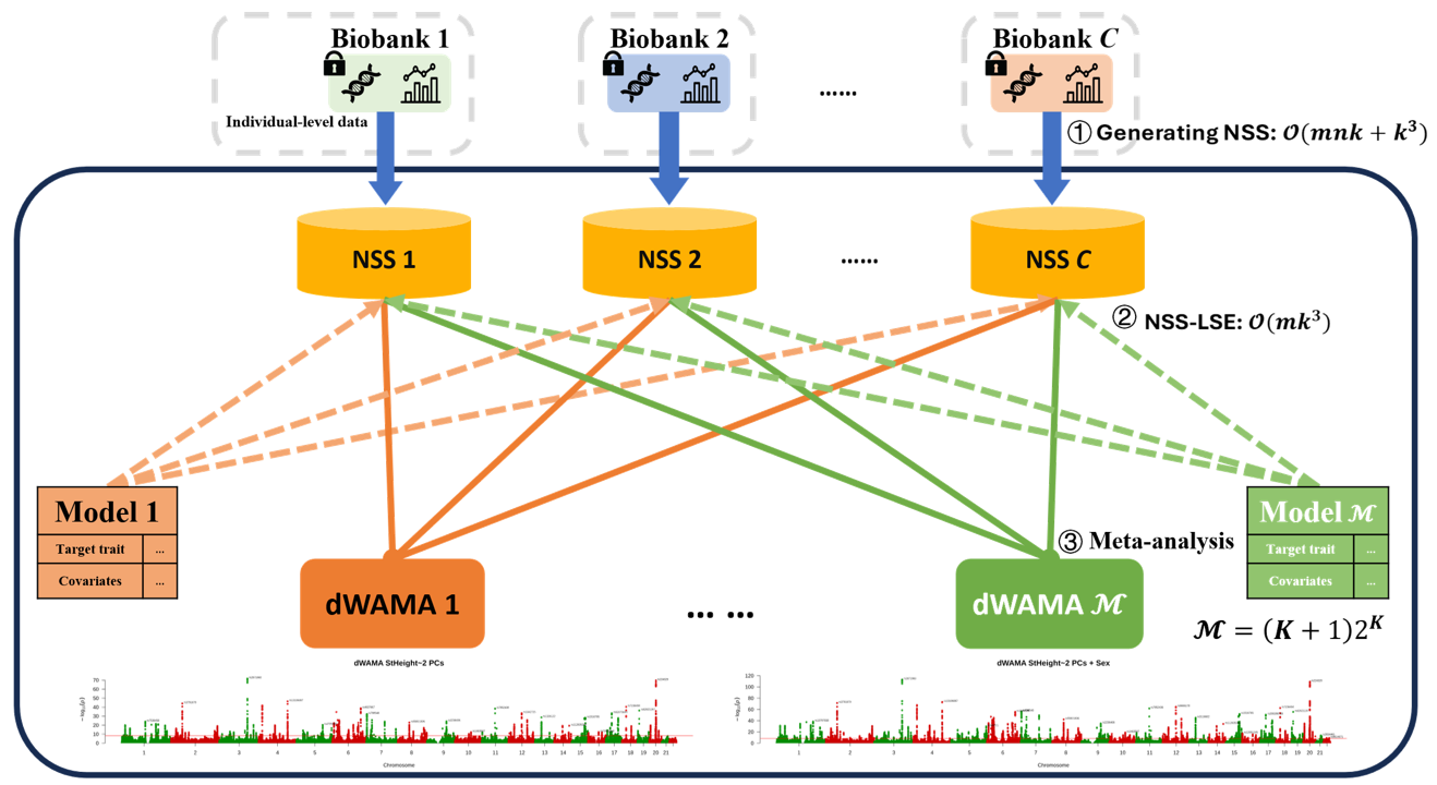nssgen dWAMA workflow
