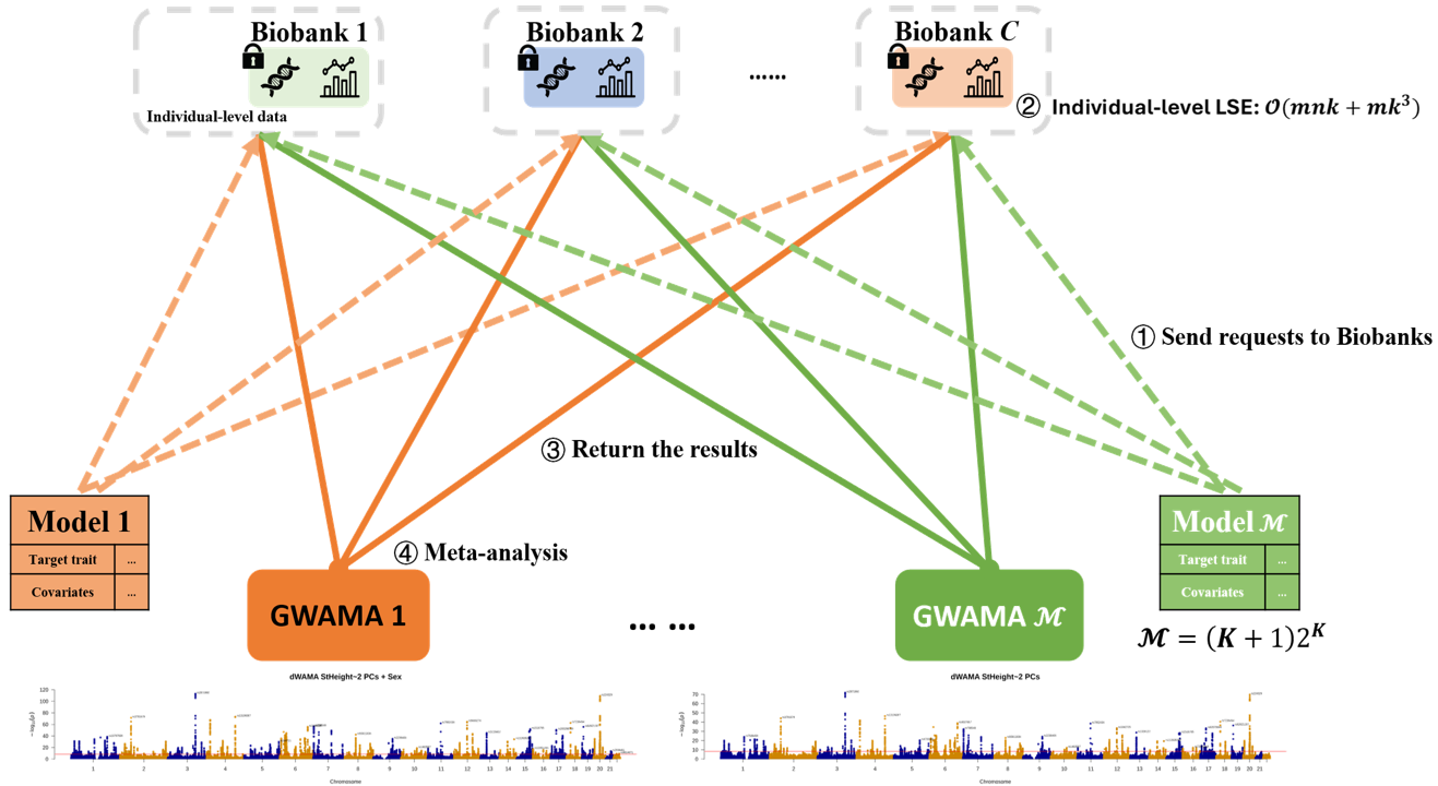 Traditional GWAMA workflow