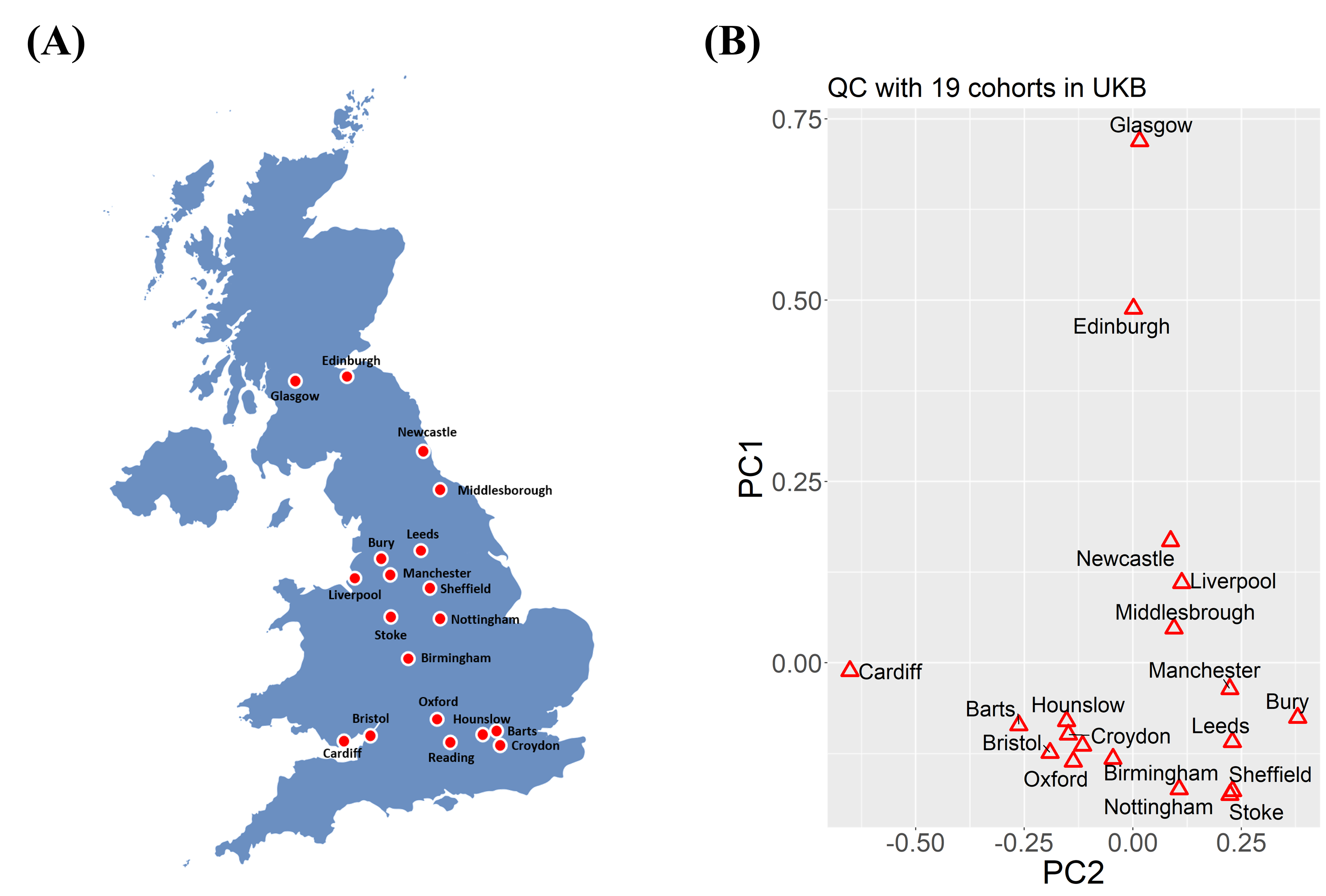 UK Biobank cohorts and PCA